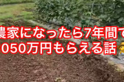 5年間農家になると1千万円貰えるぞ