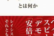 ネトウヨが目指す理想の日本がこちらwww