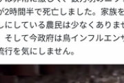 「わるいことが起こるだ」「わしにはわかるだよ」中国の養鶏場で鳥インフル発生。2時間半で数万羽死亡