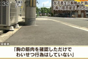 【悲報】日本、胸の筋肉を確認しただけで捕まってしまう