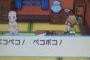 ポケモンルビサファの火山灰の町にいた「ぺこぺこ」言ってるおっさん覚えてる奴居る？ｗｗ