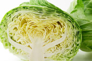【悲報】日本人はキャベツを食べるのが大好き、キャベツ国のドイツの倍以上のキャベツを生産しているｗｗｗｗｗ
