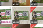 【画像】はじめしゃちょーが街頭で無料で配ったティッシュが高額転売されてて草