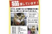 老猫を捨てれるメンタルって地味にやばくない？そんなのが善人のふりして警察やってるとか怖すぎるだろ…