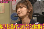 セーラー服姿が可愛い櫻坂46井上梨名「しくじり先生」オダウエダ小田先生回ABEMA見逃し配信スタート