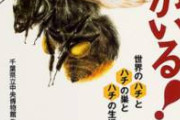 【悲報】ハチに舌を刺された男性(52)、膨張した自分の舌で窒息死・・・