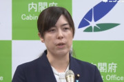 小野田紀美大臣の発言にオタクが感動！！「対価を求めてるわけではないクリエイターも守りたい」