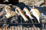 ヴィーガンの奴って魚も食べないんだろ？