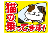 日本のネコの「乗ってくかい？」がイケメンすぎる、可愛いと大好評！【台湾人の反応】