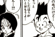 【ドラゴンボール】悟飯「ビーデルさんは髪短くした方がいいよ」←こいつｗｗｗｗｗｗｗｗｗｗｗｗｗ