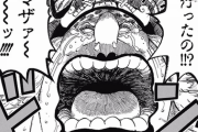 【ONEPIECE -ワンピース】カイドウに比べてビックマムって弱すぎやんｗｗｗｗｗ