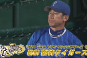 【試合結果】[2025/10/17] DeNAベイスターズ０－４阪神タイガース　3連敗でCS敗退　2年連続の下克上はならず