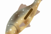 実際一番うまい魚って鮎じゃね？
