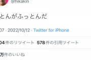【迷走】ヒカキンさん、Adoに擦り寄ってクソ気持ち悪いムーブをかましてしまう