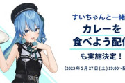 【悲報】ホロライブのVtuber・星街すいせいさんの直筆サイン入りカレー、通販サイトで買えなくなり、セブン＆アイが謝罪