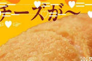 マクドナルドさん「音MAD作ってみたｗｗｗ上級者向けですｗｗｗｗｗ」→ガチでつまらなすぎてスベりまくり、大炎上してしまう