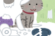 【ほのぼの】うちの猫様にお留守番を任せると、物を壊しまくる問題…orz