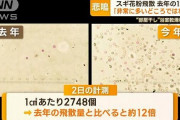 【悲報】花粉、去年の12倍「非常に多いどころではない」
