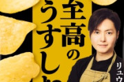 【朗報】カルビーより「ポテトチップス　至高のうすしお味」が登場ｗｗｗｗｗｗｗｗｗｗｗｗ