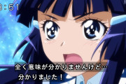 【プリキュア】お前ら青キュア好き？