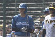 日ハム清水絶好調！OP戦打率5割！