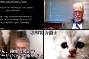 【動画】Zoomで裁判に臨んだ弁護士さん、フィルター設定を誤りネコのまま戻れなくなる