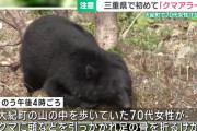 【🐻】 熊野古道でクマ出没、70代女性が襲われ重傷　三重県クマアラートを発令