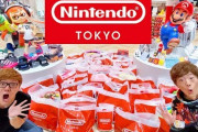 ヒカキン「任天堂の商品全部買ってみた」はじめ「店貸し切って服全部買ってみた」