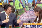 【正論ポーズ】指原莉乃「ネットで悪口言う奴は人間のクズ。法律で規制して欲しい」
