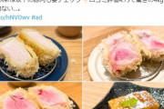 【悲報】自称グルメガチ勢が投稿した「とんかつ」、生じゃねーかとツッコまれる。何がいけないのか？