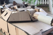 コロナで暇を持て余す外国人　ダンボールで猫戦車を作るのがブームにｗｗｗｗｗ
