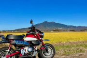原付と普通二輪バイクどっち購入しようか迷ってるんだが