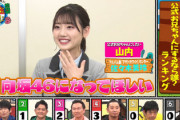【日向坂46】公式お兄ちゃんランキング、メンバーごとのリストがこちら！【華大さんと千鳥くん】