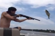 ショットガンで魚を狩る男。こいつら鉄砲で狩れるものなら何でも狩りよるなｗｗｗ