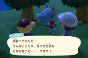 【たぐいのほのぼの島日記】島の住民くるぶしの深夜トレーニング＆口癖変更について【あつ森】