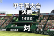 初めて栄冠ナインで甲子園決勝まで行ったわ