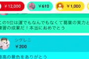 【動画】Vtuber「マリカー大会で優勝した！」→スパチャ300万ｗｗｗｗｗｗｗｗ