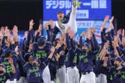 【悲報】ヤクルトスワローズさんのここ9年間の成績、あまりにもキモすぎる