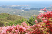 田束山の山頂から一望できる絶景！南三陸町に咲くヤマツツジが見頃