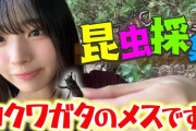 【日向坂46】躊躇なく触れるのすげぇな… 大野愛実の虫採り動画を視聴したおひさまの感想がこちら