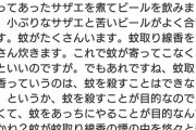 このキャンプ場のレビュー怖すぎワロテッツァｗｗｗｗｗｗｗｗｗｗｗｗｗｗｗｗｗｗｗｗｗｗｗｗｗｗｗｗｗｗｗｗｗｗｗｗ