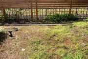 【画像あり】ワイドカタ、庭に畑作ったったｗｗｗｗｗｗｗｗｗｗｗｗｗｗｗｗ