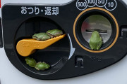 カエル、自販機を占拠。