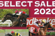 【セレクトセール2020】モーリス産駒、主取の嵐で全く売れずwww