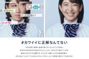 ダヴの広告、SNS上の“カワイイの基準”に対し「カワイイに正解なんてない」が物議を醸す→「逆効果なのでは」とルッキズムの加速を危惧する声が集まる