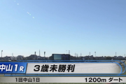 【中山１R】今年の幕開け騎手は誰でしょう