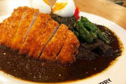 【飯テロ】こういうカツカレーの欠点ってないよな?
