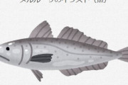 【悲報】白身魚のフライ、正体はメッサーラとかいう謎の魚だった