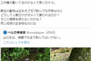 【朗報】Twitterの有識者、工作員の明らかな矛盾を発見してしまう