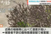 ビッグモーター店舗前から基準の555倍の除草剤、9/1午後3時に福岡県警に被害届提出へ